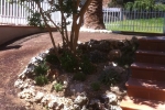 Grottazzolina - Progetto e realizzazione Giardino