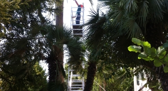 San Benedetto del Tronto - manutenzione giardino villa storica