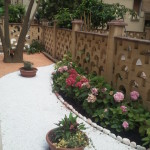 Giardino giapponese 3